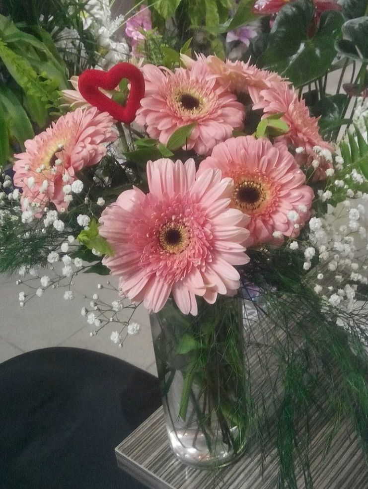 Gerbera Arajman